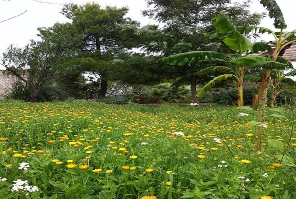 Bio-Agriturismo Masseria La Palombara Salve Dış mekan fotoğraf